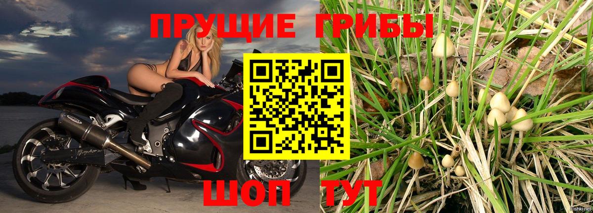 Ржев  Галлюциногенные грибы мухоморы  Вход с VPN  Псилоцибиновые грибы ЛСД 